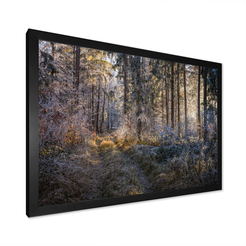 «Forest Trees In Winter», reproduction d'art sur toile, H 8 po x l 12 po x P 1 po, Cadre noir