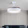 Tasmine 42'' Ceiling Fan with LED Lights