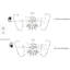 Vieira 52'' Ceiling Fan with Light Kit