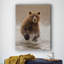 «Bears at Play II», reproduction de photo sur toile tendue-31597517