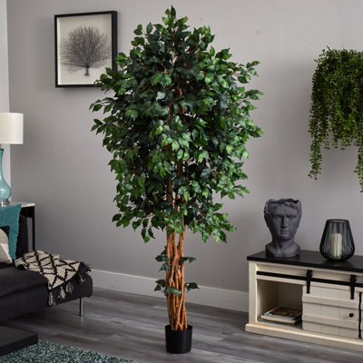 72'' Faux Ficus Tree in Pot