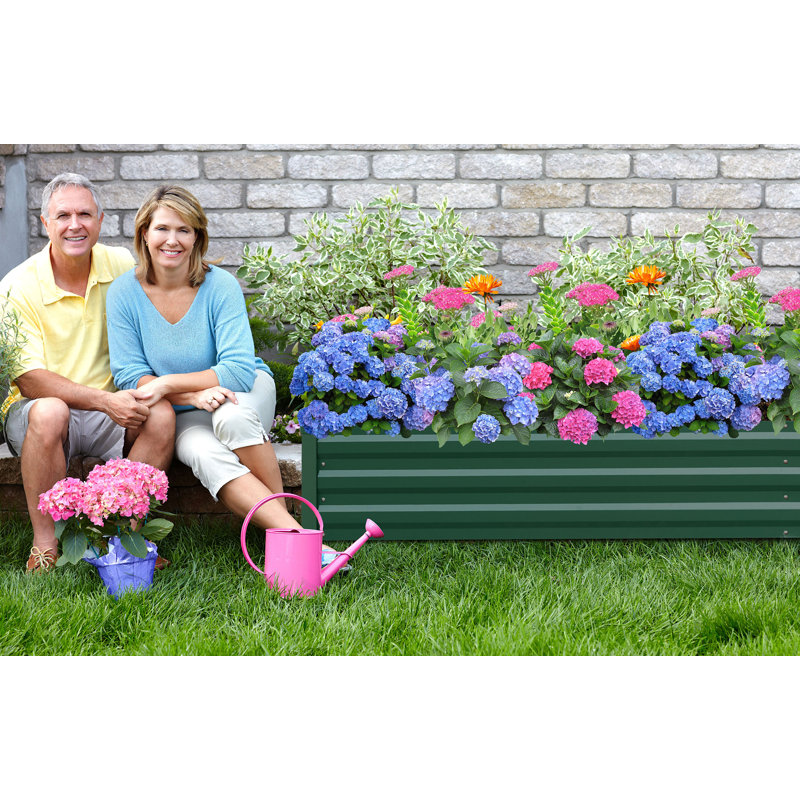 Lit de jardin surélevé galvanisé Kymari, plusieurs tailles au choix, supports de plantes offerts, H 24 po x l 96 po x P 48 po