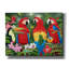 «Tropical Friends» par William Vanderdasson-101511526