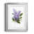 Silver Framed