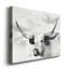 Bouton d'or - reproduction sur toile tendue-1304635793