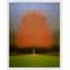 Persistence by Laura Zimmerman - Framed Wall Art-1529026728-1529026733