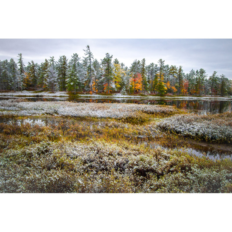Tahquamenon Falls State Park par Ehrlif - photographie sur toile tendue, H 20 po x l 30 po