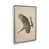 Silver Framed n'est pas disponible