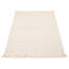 Arita Performance Hand Braided Wool Indoor Rug