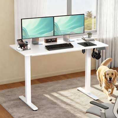 Electric Adjustable Office Desk 47“ / 120cm for Standing & Sit Height adjustable for Home
