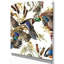 «Illustration of Colored Duck», peinture-29496762-35111719
