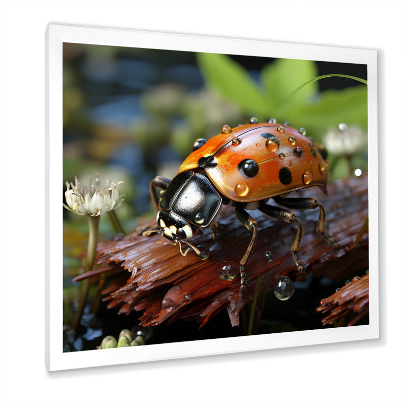 Coccinelle aventureuse III - coccinelle, art mural, Cadre photo blanc, H 30 po x l 30 po x P 1,5 po