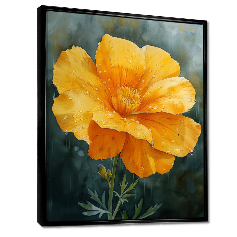 «Yellow Green Morning Dew Marigold», reproduction d'art murale souci, Cadre flottant noir, bois massif, H 12 po x l 20 po