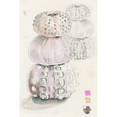 Sea Urchin Sketches II - Wrapped Canvas Painting
