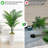 60 '' modern style white square basin artificial palm tree set, Faux Plant(Set Of 2)