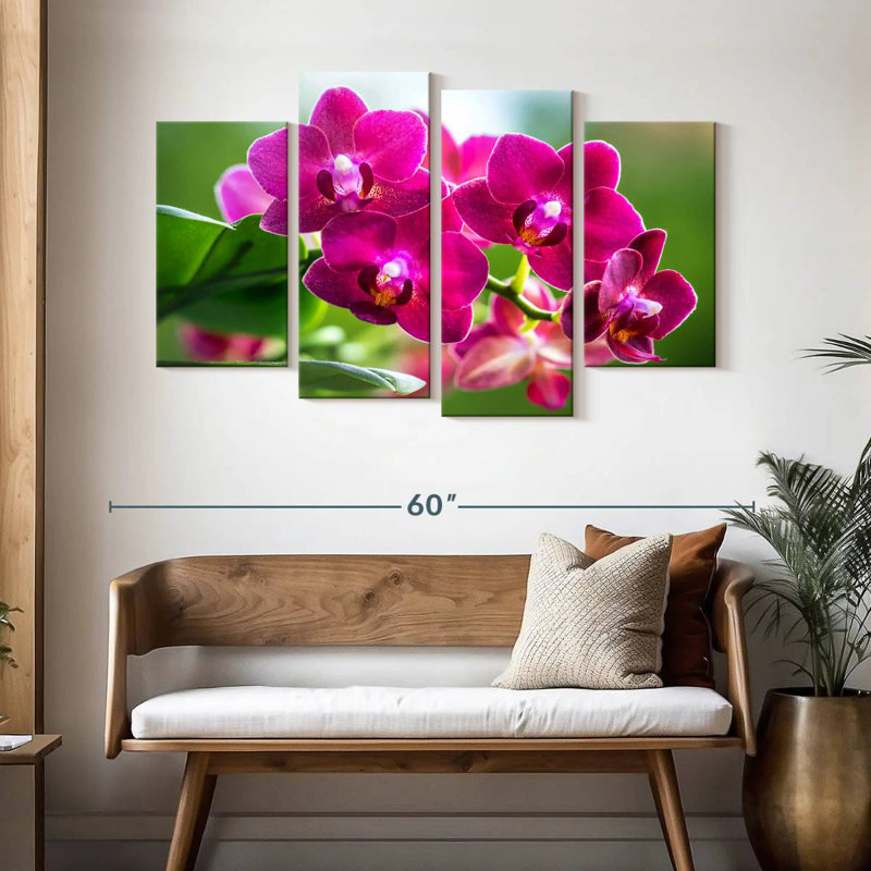 Harnek Pink Moth Orchid Blooms, 32" H x 52" W
