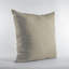 Coussin Plutus-62524227-62524230