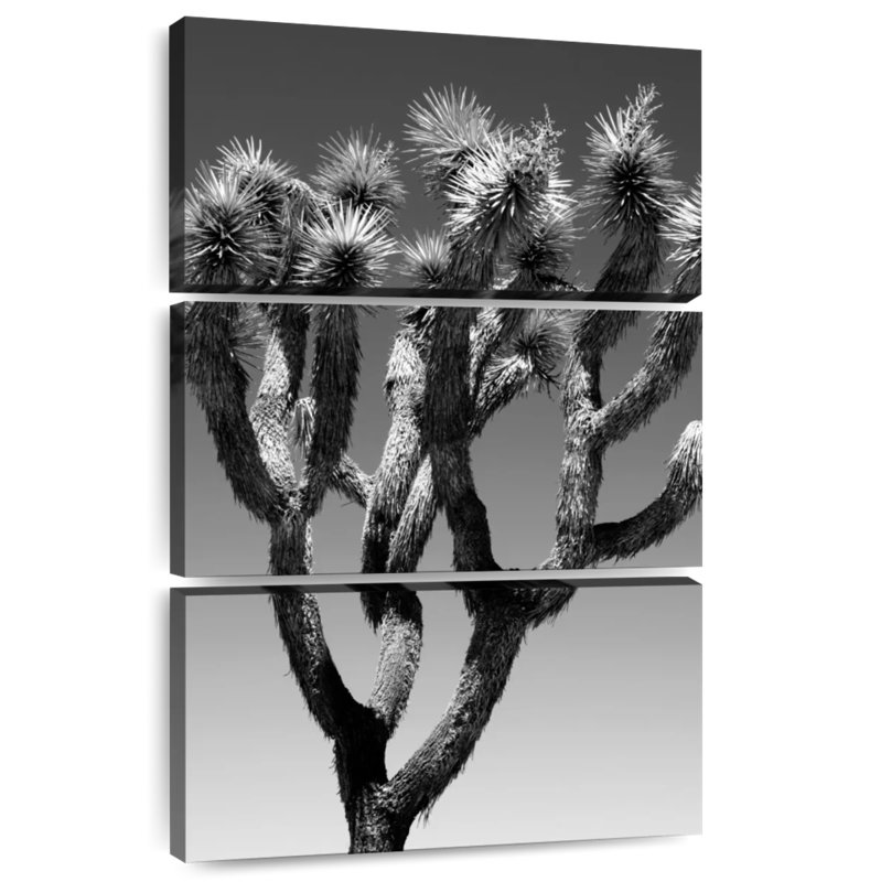 Harnek - Arizona noir - l'arbre Joshua, H 50 po x l 32 po
