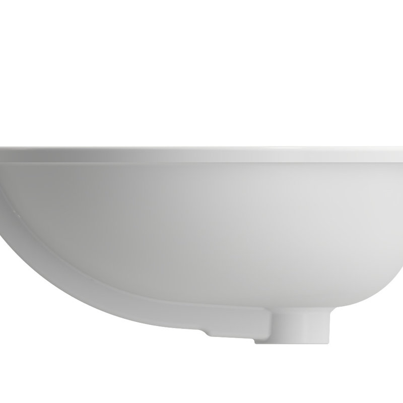 Parma 22.4'' L Bathroom Sink, Matte White