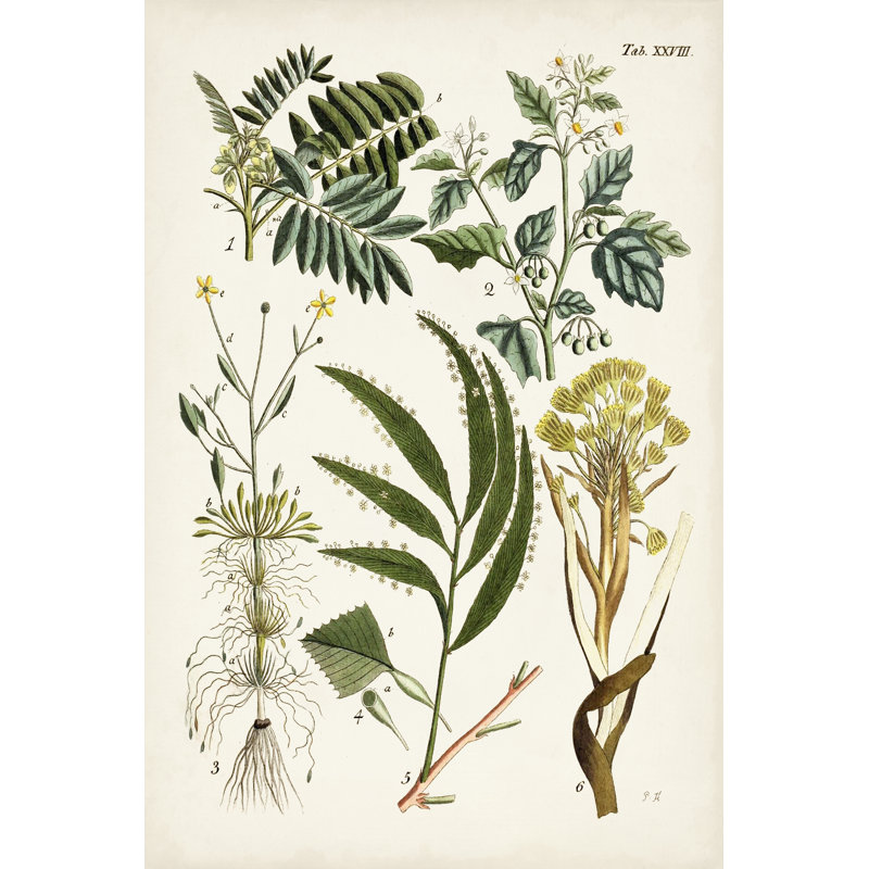 Fanciful Ferns I - Painting, 122cm H x 81cm W, Black Floater Framed