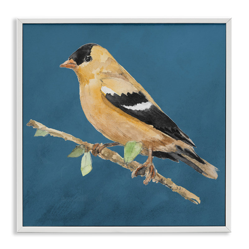 Art traditionnel d'oiseau jaune par Lanie Loreth, Estampe numérique encadrée blanc bord de mer, H 24 po x l 24 po