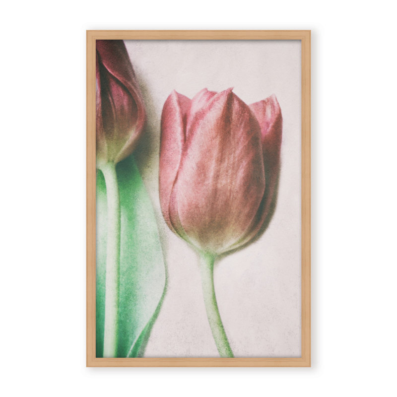 Nature Inspired The Spring Lovers by  - Picture Frame Graphic Art on Paper, Framed Canvas, 48" H x 32" W x 2.375" D, White