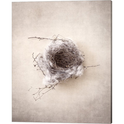 " Nest III " by Debra Van Swearingen