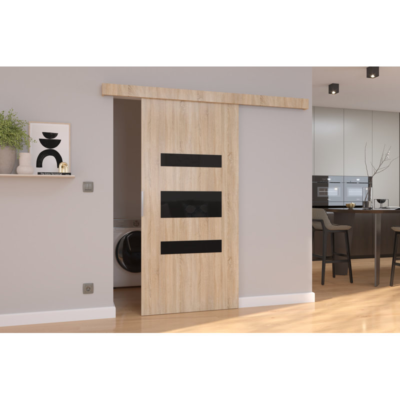 Lize Sliding Door White and Black, 205cm H x 106cm W x 1.6cm D, White/Back