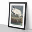 Wood Stork by John James Audubon - Picture Frame Painting Print-55612964-55612963
