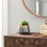 Cabragh Ceramic Indoor Cachepot