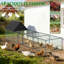 Chicken Run