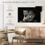 Lion et compagnons de lionne-812199535-812199505