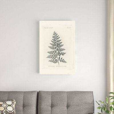 Gravure de fougère par Wild Apple Portfolio - peinture sur toile tendue