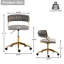 Christal Task Chair-1499908175