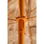 Parasol Tropical