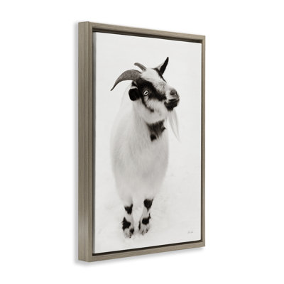 White Little Goat Floating Frame, design by Deborah Revell