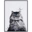 Nebelung - Cadre photo, impression sur verre
