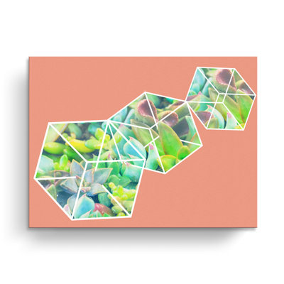 Succulent Green Ice Dice Graphic Art on Canvas