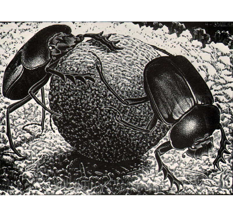 Toile tendue Scarebs par M.C.Escher Gallery, H 17 po x l 24 po