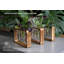 Station de propagation de plantes avec support en bois d'acacia et 4 tubes à essai en verre pour le ramassage hydroponique et le décor de table