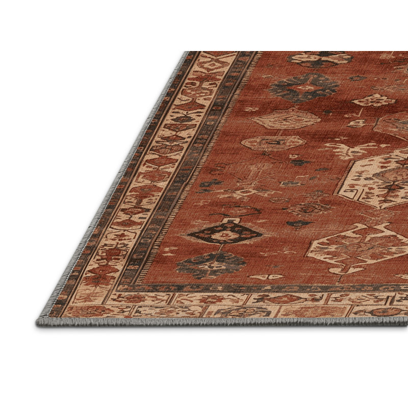 Tapis brun turc lavable à la machine, Tapis de couloir 2 pi x 5 pi