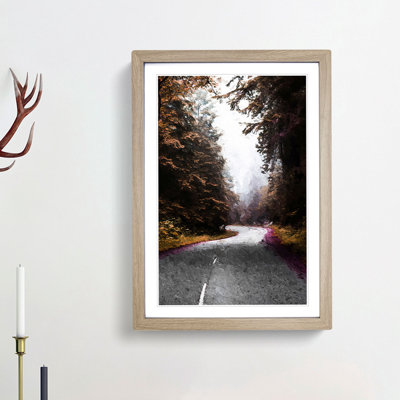 Road Through Redwood National Park in California - Picture Frame Painting Print