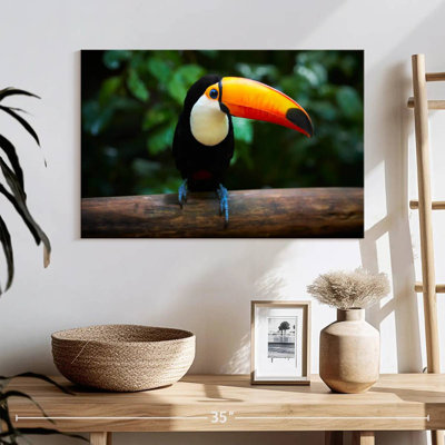 Brampt Brazilian Toucan