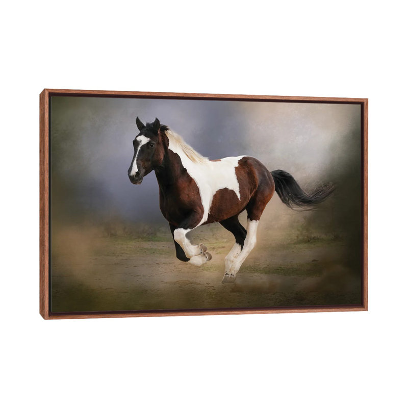 A Run Through The Mist - Floater Frame Print on Canvas