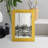 Neutral Tropics II " Neutral Tropics II "-823157025-823157039