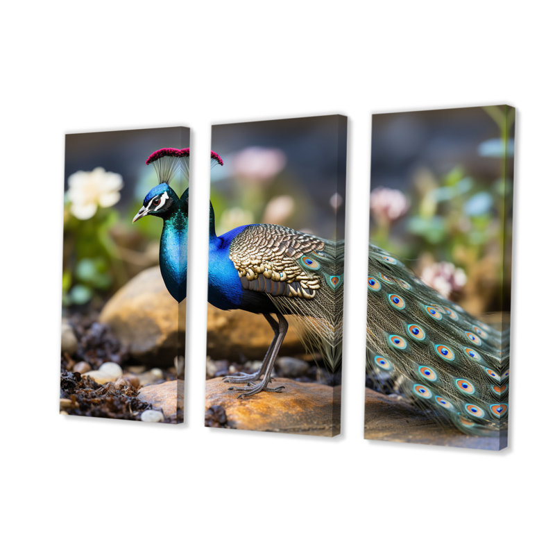 Photographie, portrait d'un paon bleu - ensemble d'animaux sur toile, paon, H 40 po x l 60 po x P 1 po