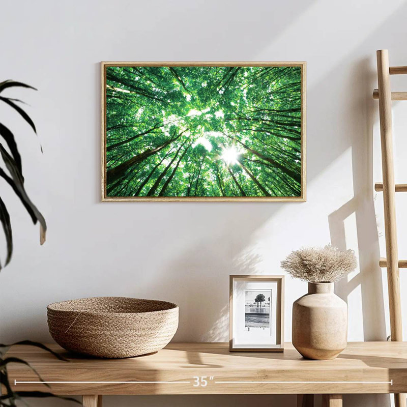 Forest Canopy, 19" X 13", Floating Frame Natural Wood