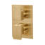 Eleganza Built-In Progressive Pressure Balancing Mixer With Volume Control-297231001