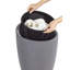 Candy Plastic Laundry Hamper-1683013526