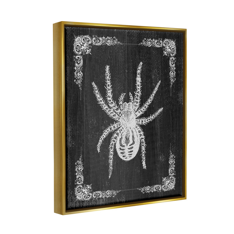 «Black & White Spider» encadrée sur bois par Lil 'Rue, impression, H 21 po x l 17 po x P 1,7 po